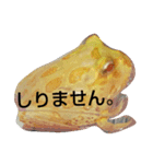 カエルのベルツノさんとアルティメットさん（個別スタンプ：4）