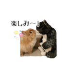 長毛うさぎジャージーウーリーのうーりぃ.（個別スタンプ：9）