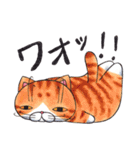 ひこ屋のねこ【過去絵】（個別スタンプ：18）