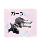 返事・相づち～マロン君といっしょ～（個別スタンプ：3）