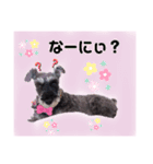 返事・相づち～マロン君といっしょ～（個別スタンプ：4）
