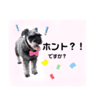 返事・相づち～マロン君といっしょ～（個別スタンプ：6）