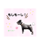 返事・相づち～マロン君といっしょ～（個別スタンプ：7）