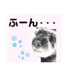 返事・相づち～マロン君といっしょ～（個別スタンプ：8）