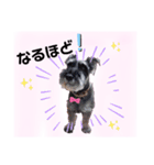 返事・相づち～マロン君といっしょ～（個別スタンプ：9）