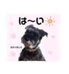 返事・相づち～マロン君といっしょ～（個別スタンプ：10）