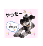 返事・相づち～マロン君といっしょ～（個別スタンプ：13）