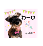 返事・相づち～マロン君といっしょ～（個別スタンプ：15）