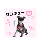 返事・相づち～マロン君といっしょ～（個別スタンプ：16）