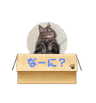 おくまはな（個別スタンプ：2）