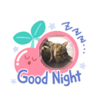 おくまはな（個別スタンプ：3）