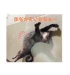 おくまはな（個別スタンプ：6）