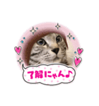 PON’sスタンプ（個別スタンプ：1）