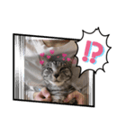 PON’sスタンプ（個別スタンプ：3）