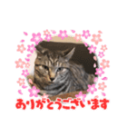 PON’sスタンプ（個別スタンプ：6）
