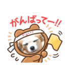 チワワのまうるバージョン（個別スタンプ：24）