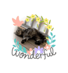 mogo Sticker（個別スタンプ：1）