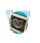 mogo Sticker（個別スタンプ：4）