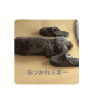 あずきのきままなすたんぷ（個別スタンプ：4）