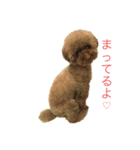 あずきのきままなすたんぷ（個別スタンプ：8）