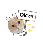 可愛いにゃんこちゃん3（個別スタンプ：4）