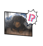 Cute My dog's（個別スタンプ：6）
