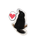 Cute My dog's（個別スタンプ：7）