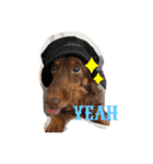 Cute My dog's（個別スタンプ：14）