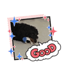 Cute My dog's（個別スタンプ：16）