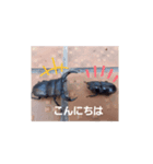 オオクワさん（個別スタンプ：7）