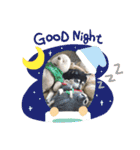 黒柴 松風ちゃん（個別スタンプ：2）