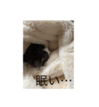 ヌッコたち（個別スタンプ：5）