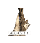 ヌッコたち（個別スタンプ：7）