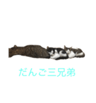 ヌッコたち（個別スタンプ：10）