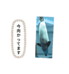 動物の動物によるスタンプ（個別スタンプ：23）