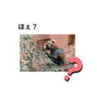 動物の動物によるスタンプ（個別スタンプ：26）
