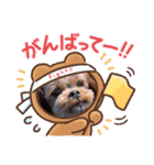 チョコ❹（個別スタンプ：2）