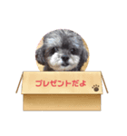 チョコ❹（個別スタンプ：5）