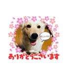 くるみとひまり（個別スタンプ：4）