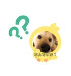 くるみとひまり（個別スタンプ：5）