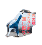 練馬のあいつ-菊池家の長男-Z（個別スタンプ：23）