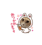 可愛いにゃんこスタンプ4（個別スタンプ：8）