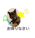 ツンデレふく3（個別スタンプ：6）