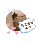 ツンデレふく3（個別スタンプ：7）
