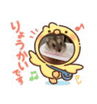 日常スタンプ㋩（個別スタンプ：1）