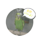 日常スタンプ㋩（個別スタンプ：9）