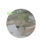 日常スタンプ㋩（個別スタンプ：12）