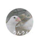 日常スタンプ㋩（個別スタンプ：14）