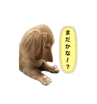 カニンヘンダックス2（個別スタンプ：18）