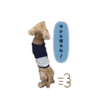 カニンヘンダックス2（個別スタンプ：22）